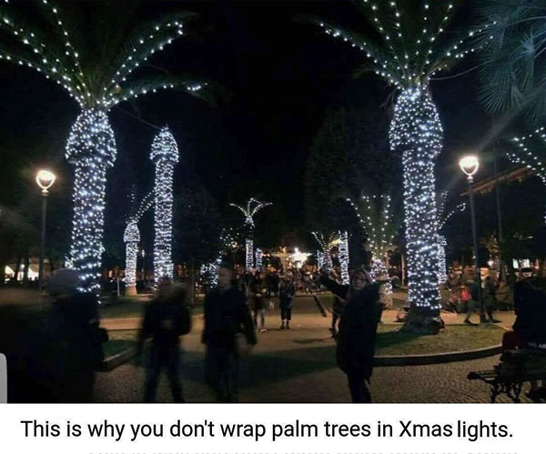 Christmas with Phallic Lights