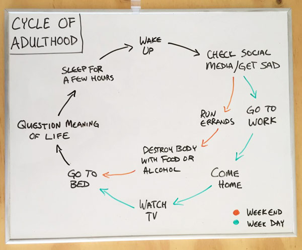 Cycle of Adulthood