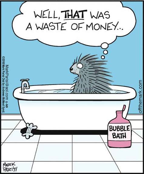 Porcupine Taking Bubble Bath