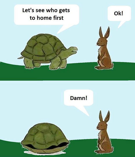 The Hare & The Tortoise... Again!