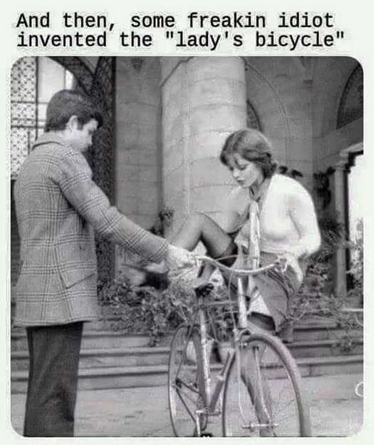 Ladies' Cycle - A Bad Invention!