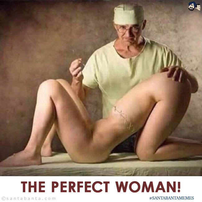 The Perfect Woman