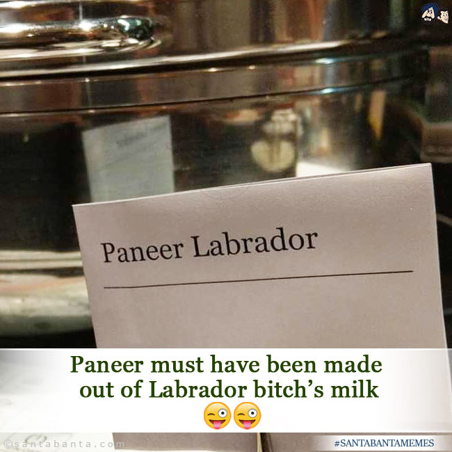 Paneer Labrador