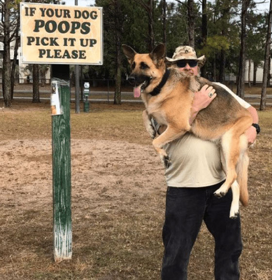 Pick Up Your Dog's Poop