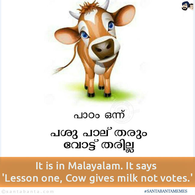 Cows Don't Vote