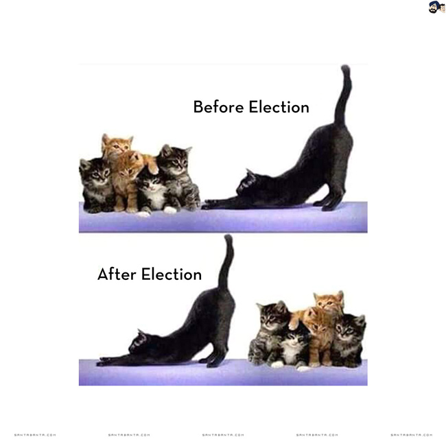 Before and After Elections