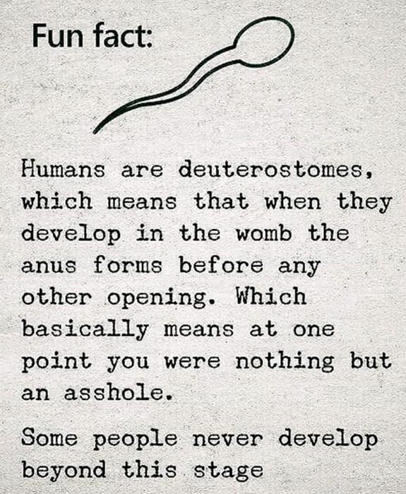 Deuterostomes!