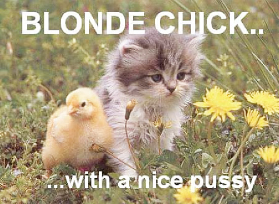 Blonde's Pussy