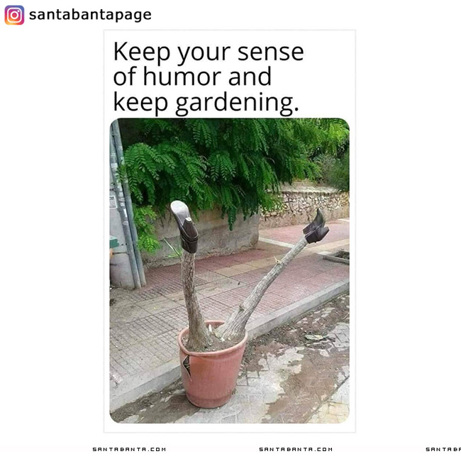 Sense Of Humour and Gardening