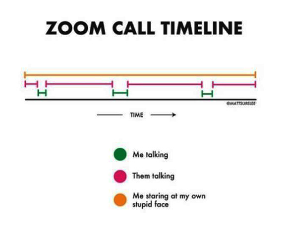 Zoom Call Timeline