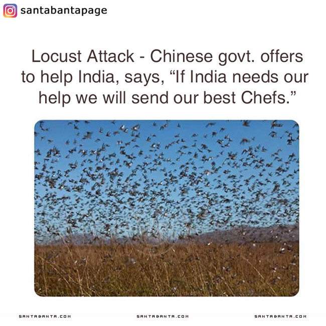 Locust Attack - China Ready To Help India