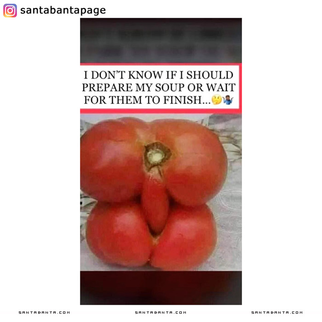 Horny Tomatoes