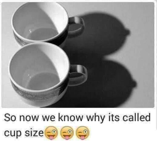 Why Bras Are Measured in Cups