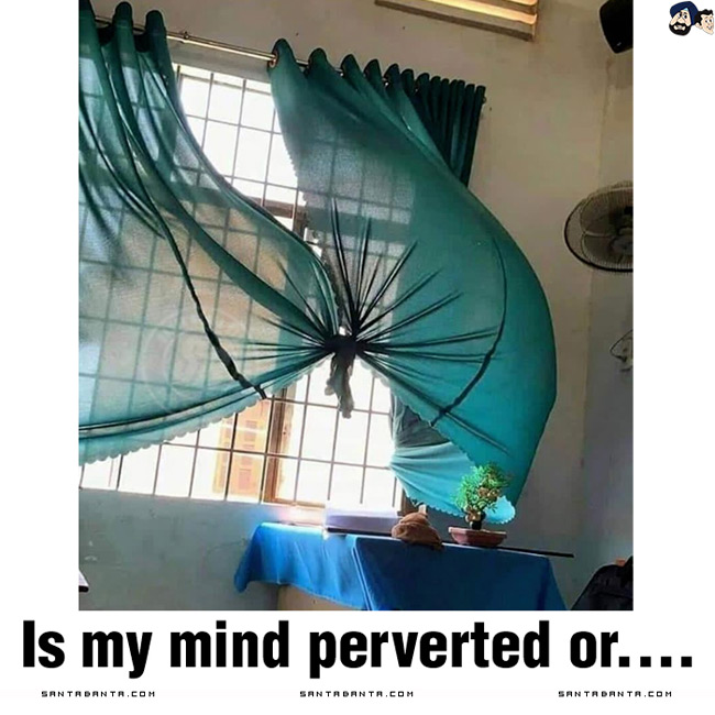 Perverted Mind