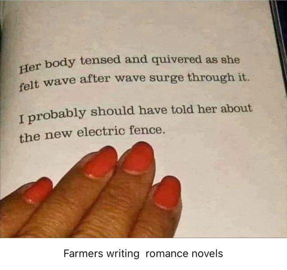 Romantic Novel By a Farmer