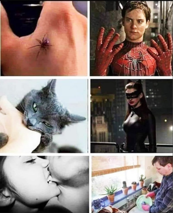 Spider Bite vs Woman Bite