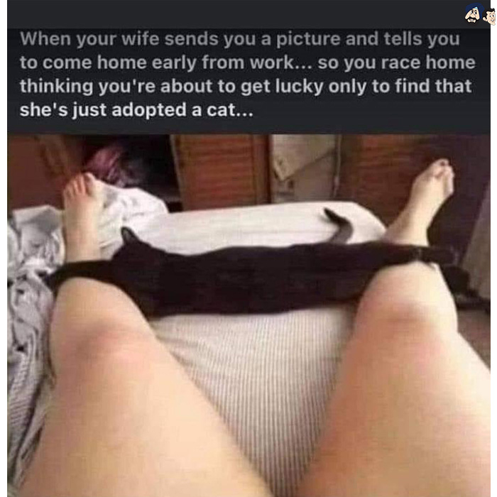 Look Again... It's Her Pussy Between Her Legs 