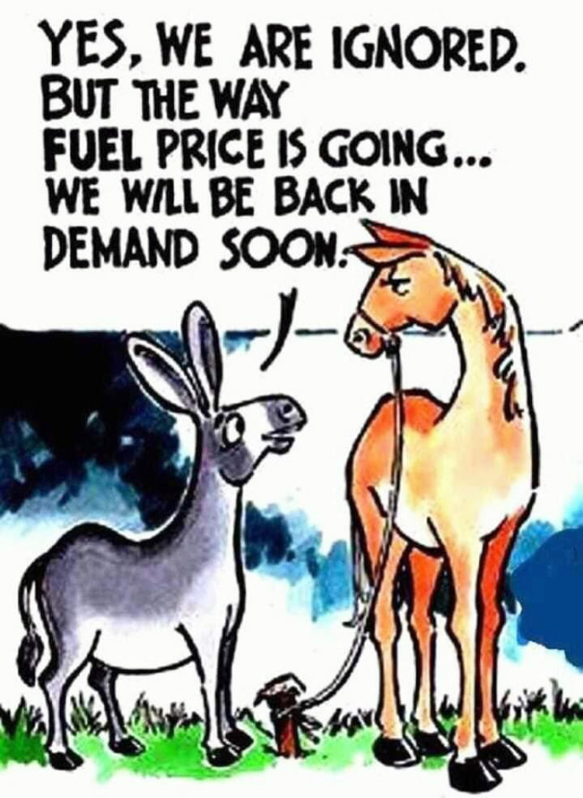 Soaring Fuel Prices