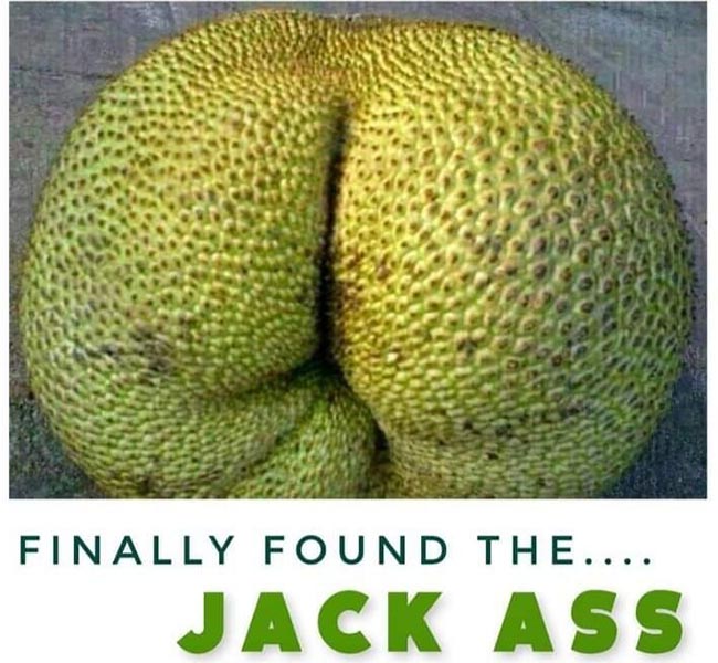 The Real Jack Ass!