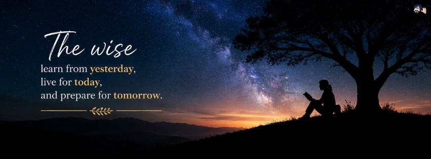 The Wise