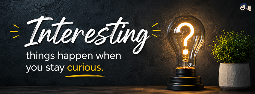 Stay Curious