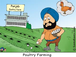 Poultry farming?