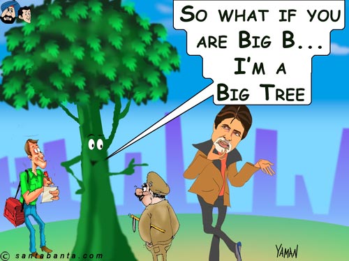 Big B or tree