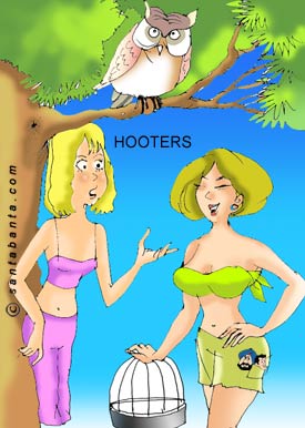 Nice Hooters