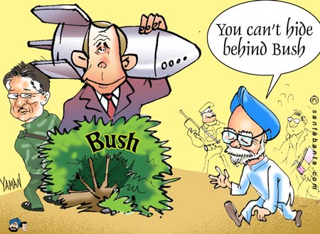 Bush Mush