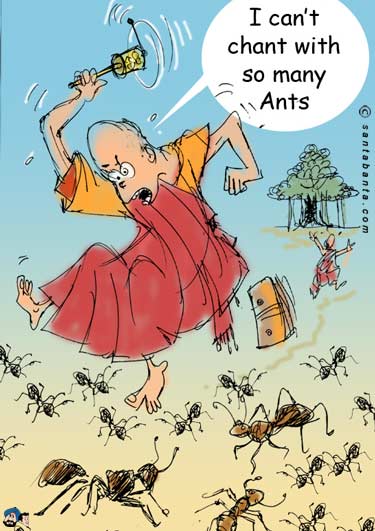 Chant Ant !