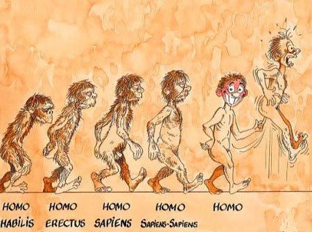 Human Evolution