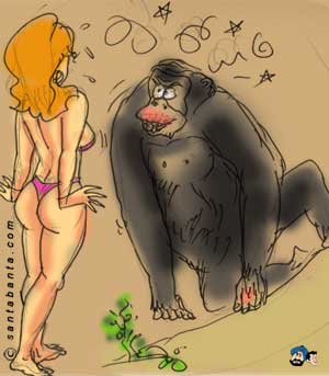 Horny Gorilla !