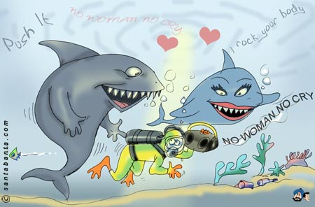 Shark Love