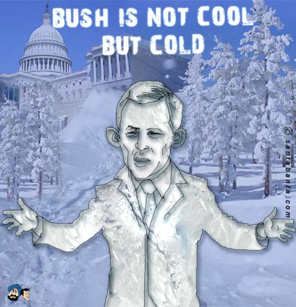 Cold Bush