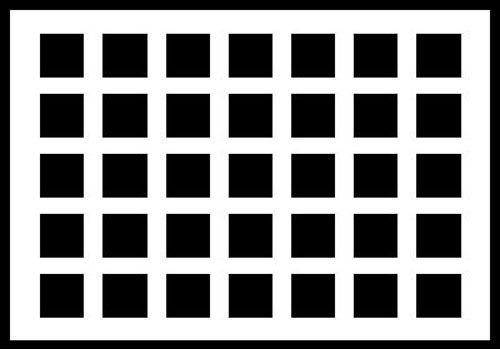 Grid Illusion