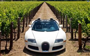 Bugatti