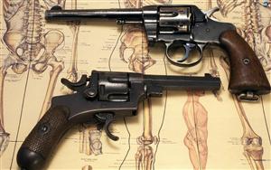 Revolvers