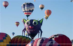 Hot Air Balloons