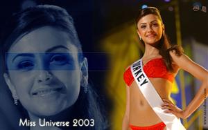 Miss Universe 2003