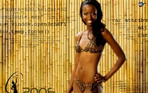 Miss Namibia