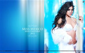 Miss Universe 2013