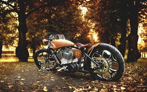 Harley Davidson