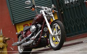 Harley Davidson