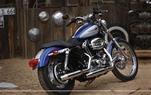 Harley Davidson 1200C Sportster