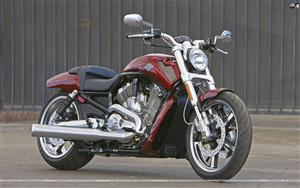 Harley Davidson