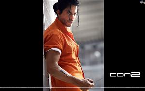 Don 2