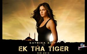 Ek Tha Tiger