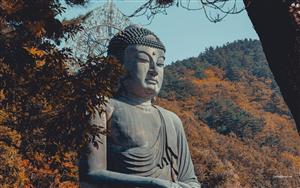 Lord Buddha