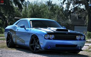 Dodge