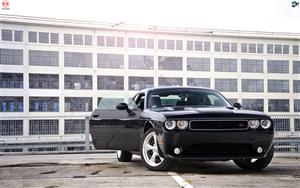 Dodge